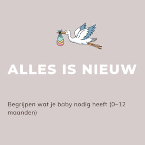 https://hetkleineprinsje.nl/wp-content/uploads/2026/04/3333-300x300.jpg